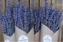 Lavender Wreath & Wine Workshop